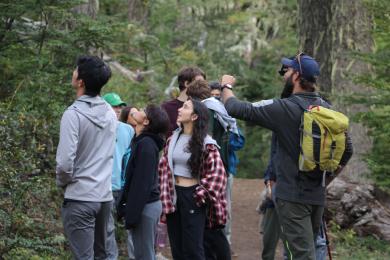 group of students standing in a forest looking up at trees