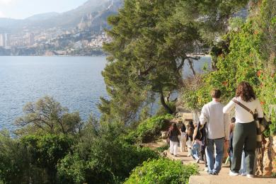 group of people walking down coastal steps pattered with vines and greenery overlooking a body of water