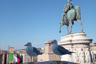 Two heroes of Italy (seagulls)