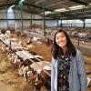 Smiling girl standing in front of a row of goats eating grasses