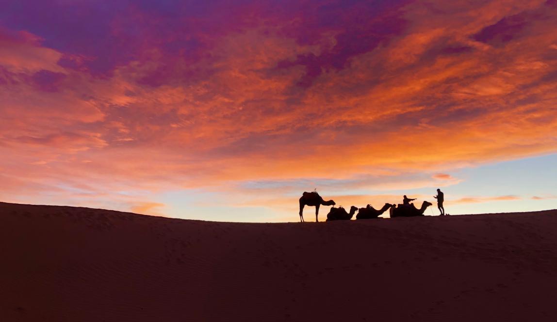 “A view from the dunes of the Moroccan Sahara” By Emma K. • Seattle University, Fall 2019 Photo Contest Winner