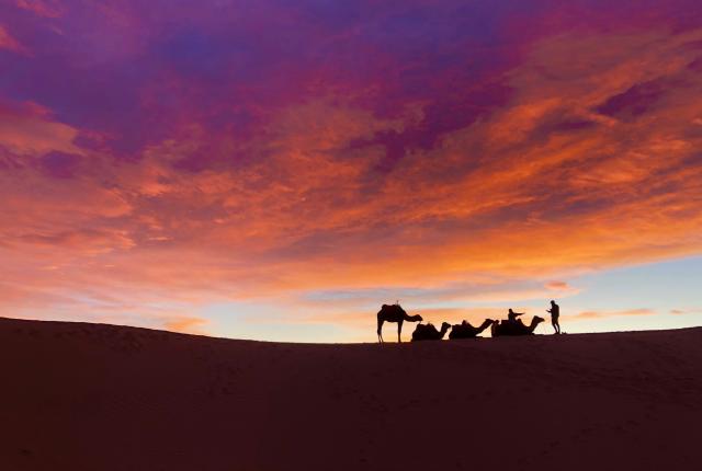 “A view from the dunes of the Moroccan Sahara” By Emma K. • Seattle University, Fall 2019 Photo Contest Winner
