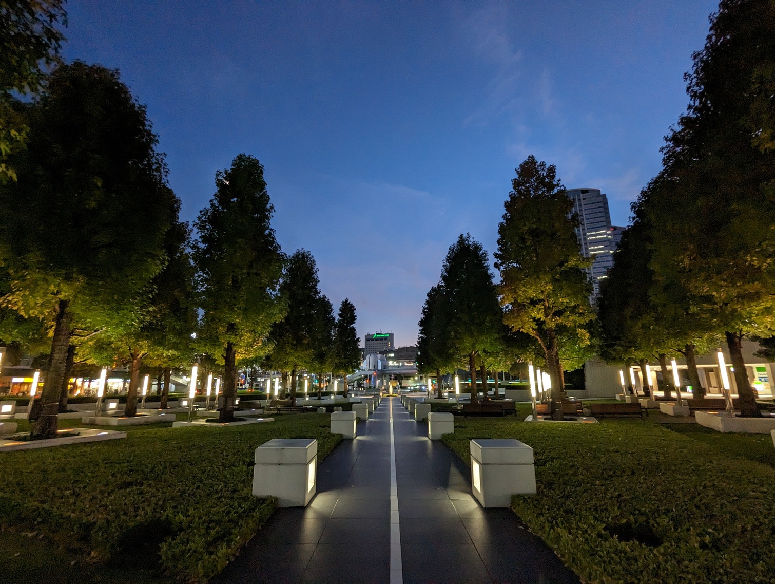 photo of some trees in makuhari