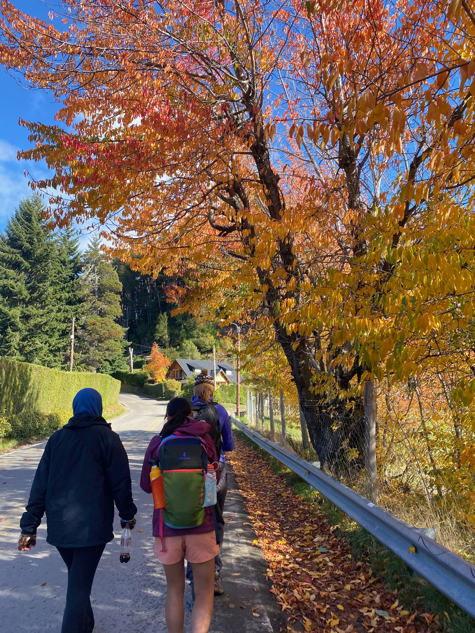 3 friends walking in town with the fall colors!