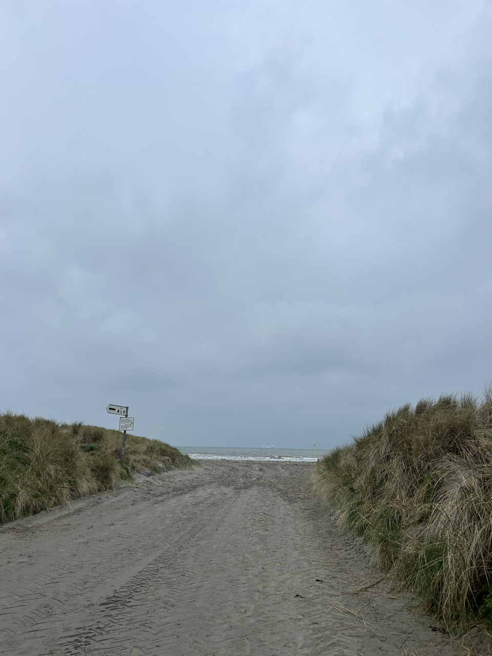 Entrance to beach on Bull island 