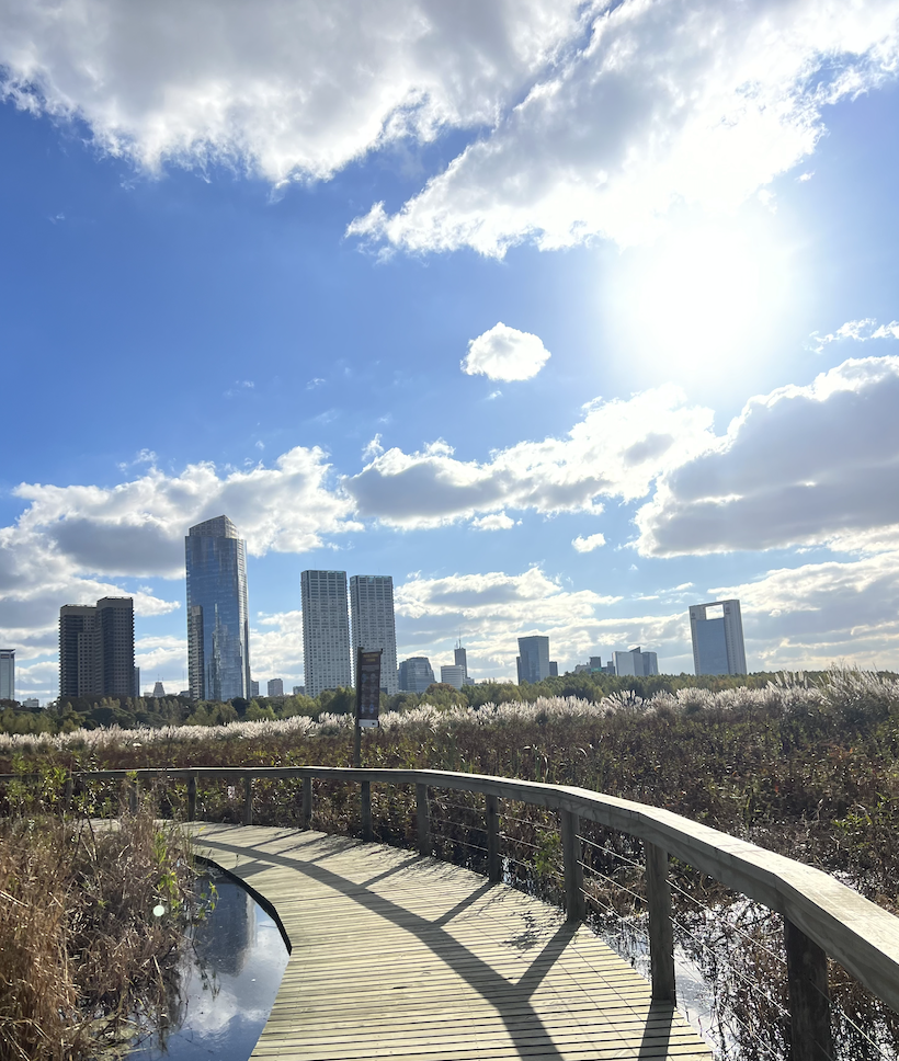 Boardwalk with an overlook of the city