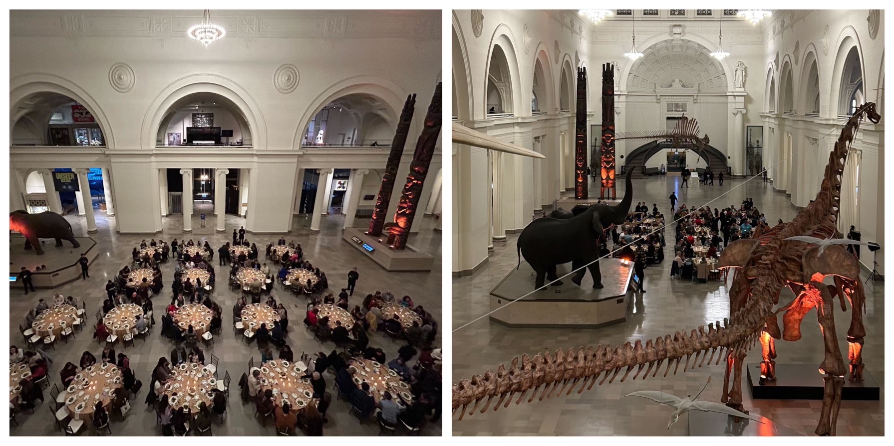 Collage of photos from Field Museum dinner