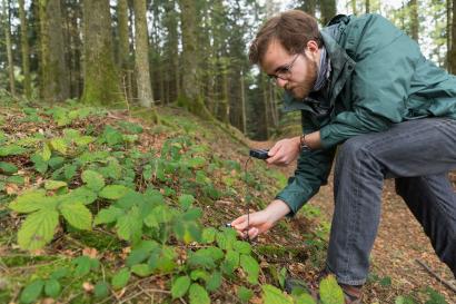 student on an Environmental Studies & Sustainability course looking at a leaf with a magnifying glass