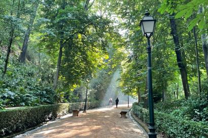 Landscape of a lamppost along a gravel path up a forested hill