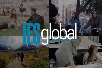 IES Global business lines