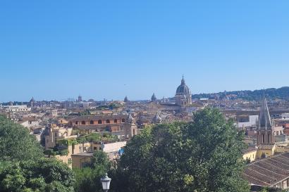 Panoramic view of Rome featuring St. Peter's Basilica with clear sky and trees framing the foreground