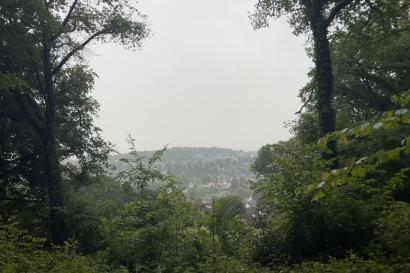 An image of an outlook from the Siebengebirge nature park in Nonnenstromberg, Germany. From between a cluster of trees, many houses and buildings in Heisterbacherrott can be seen scattered over a large hill in the distance.