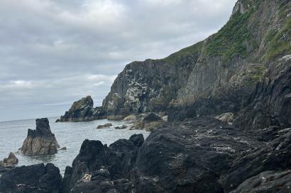 Rocky coastline of Howth with rugged cliffs covered in greenery under a cloudy sky.