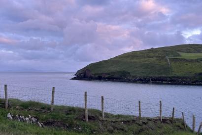 The Dingle coastal landscape at sunset, featuring a grassy hillside leading to a calm body of water. A wooden fence runs along the foreground, while the sky is pink and purple with scattered clouds.