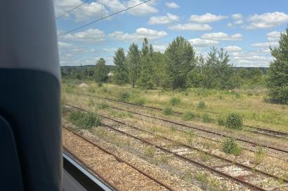 a photo taken from inside a train by the window; the train tracks can be seen outside the window along with trees, grass and a bright blue sky