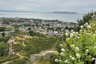 A view from Killiney hill with numerous houses, greenery, and cliffs visible. In the background, the sea extends to the horizon, and a hill with green vegetation is in the foreground.
