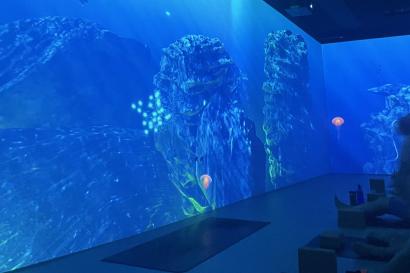 A projector displays calming photos of the ocean on the walls of a yoga studio.