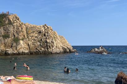 rocky shore during a beautiful, sunny summer day