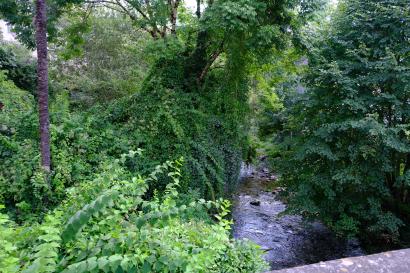 Verdent Gully in the South of France