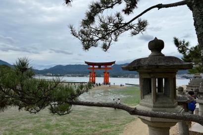 Floating Torii Gate on Miyajima Island in Hiroshima Bay