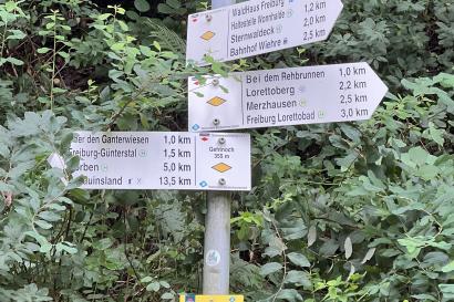 Signpost of different hiking destinations on a trail in the Black Forest