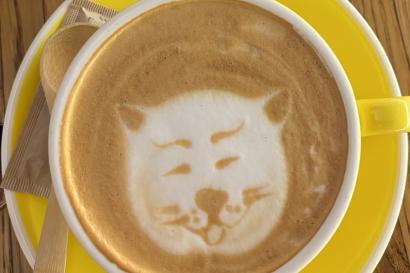 yellow coffee cup and plate with brown coffee and white foam drawing on top 