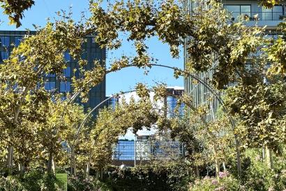 Metal arches with leaves on them