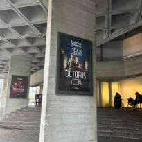 "Dear Octopus" at the National Theatre