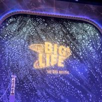 "The Big Life: Ska Musical" at Stratford East