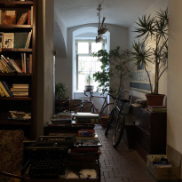 Bikes and plants inside bookshop 
