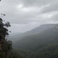 A view of the Blue Mountains with smaller leaves and trees peaking through the corner. 