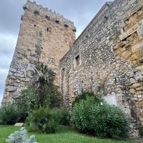 Stone wall surrounded by greenery. 