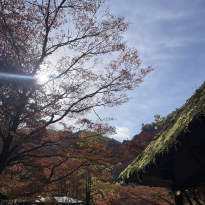 Photo of the sky with a traditional Japanese house and a colorful tree in the corners