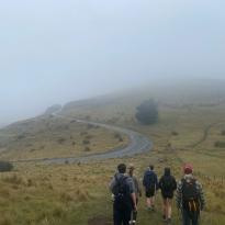 a group of other students hike through fog, atop the Port Hills