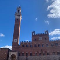 The Piazza Del Campo in the Sunshine!