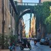 Ivy-covered archway along Via Giulia in Rome, with motorcycle and light street traffic