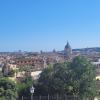 Panoramic view of Rome featuring St. Peter's Basilica with clear sky and trees framing the foreground