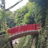 The author standing on a red walking bridge in Enoshima, Japan.