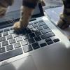 cat on keyboard