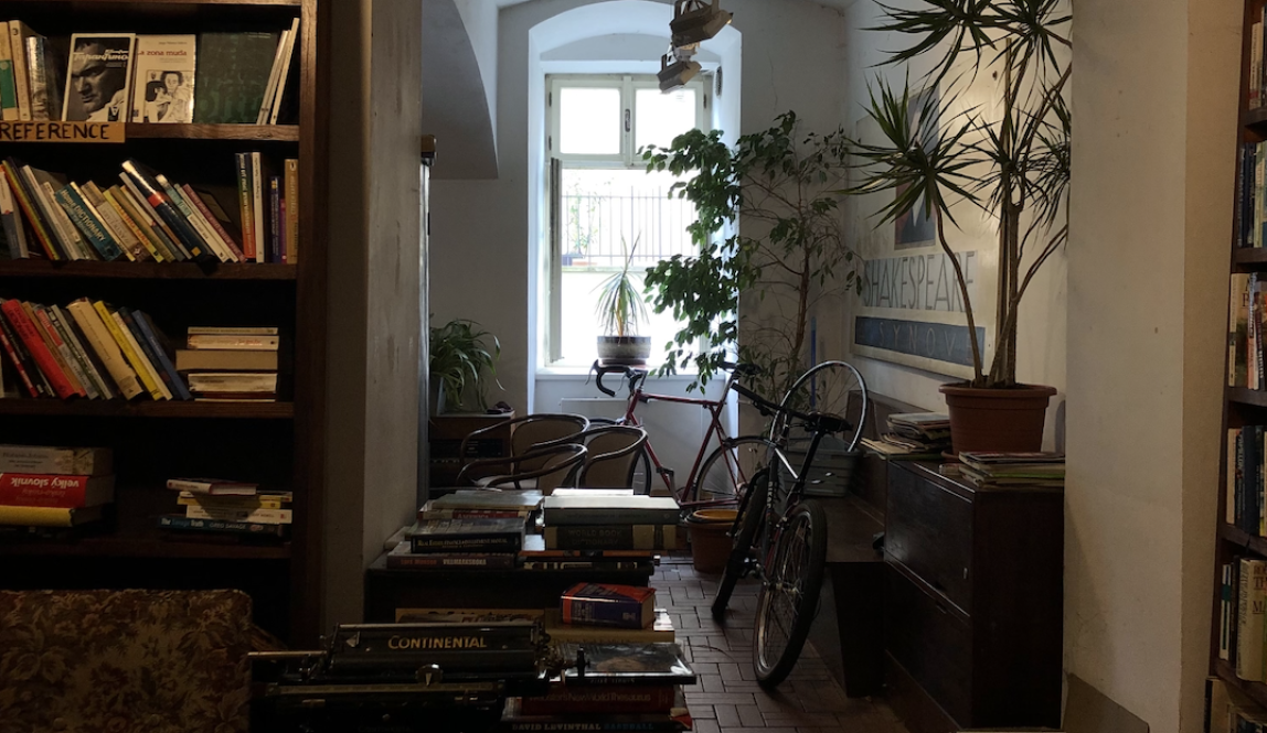 Bikes and plants inside bookshop 