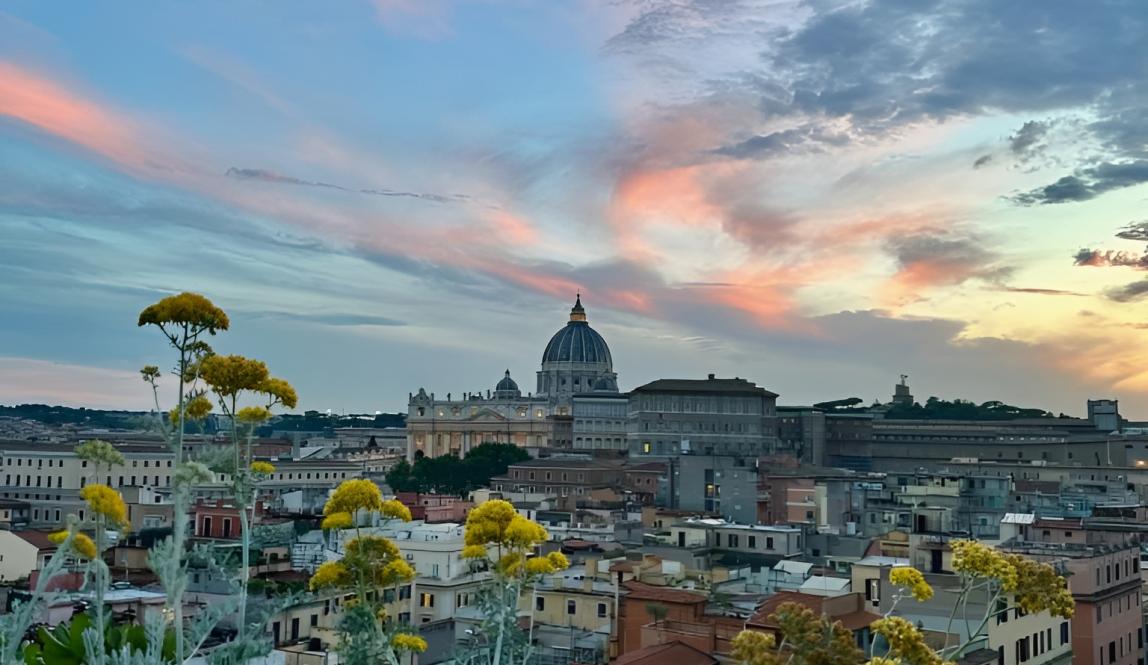 A photo taken amongst yellow flowers with St. Peter's Basilica and Rome in the distance under a sky tinged with pink clouds.