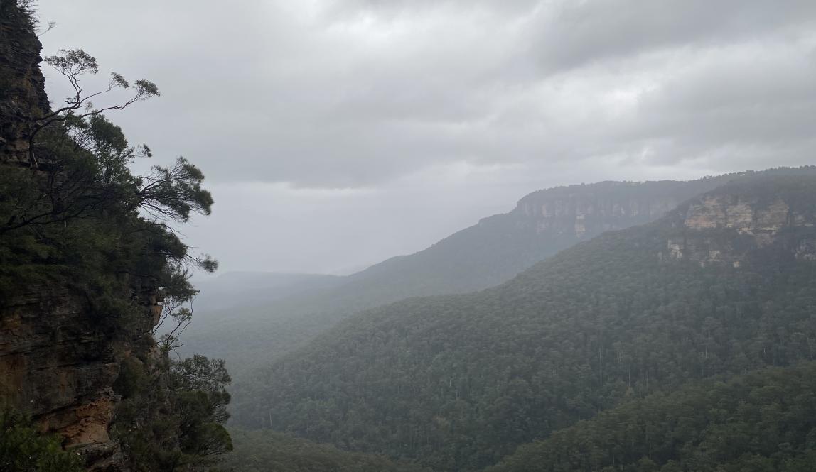 A view of the Blue Mountains with smaller leaves and trees peaking through the corner. 