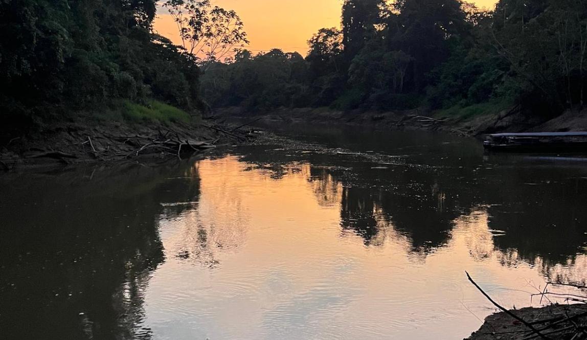 Darkly shaded trees and a yellow, orange, and blue sky that is reflecting off of the river. 