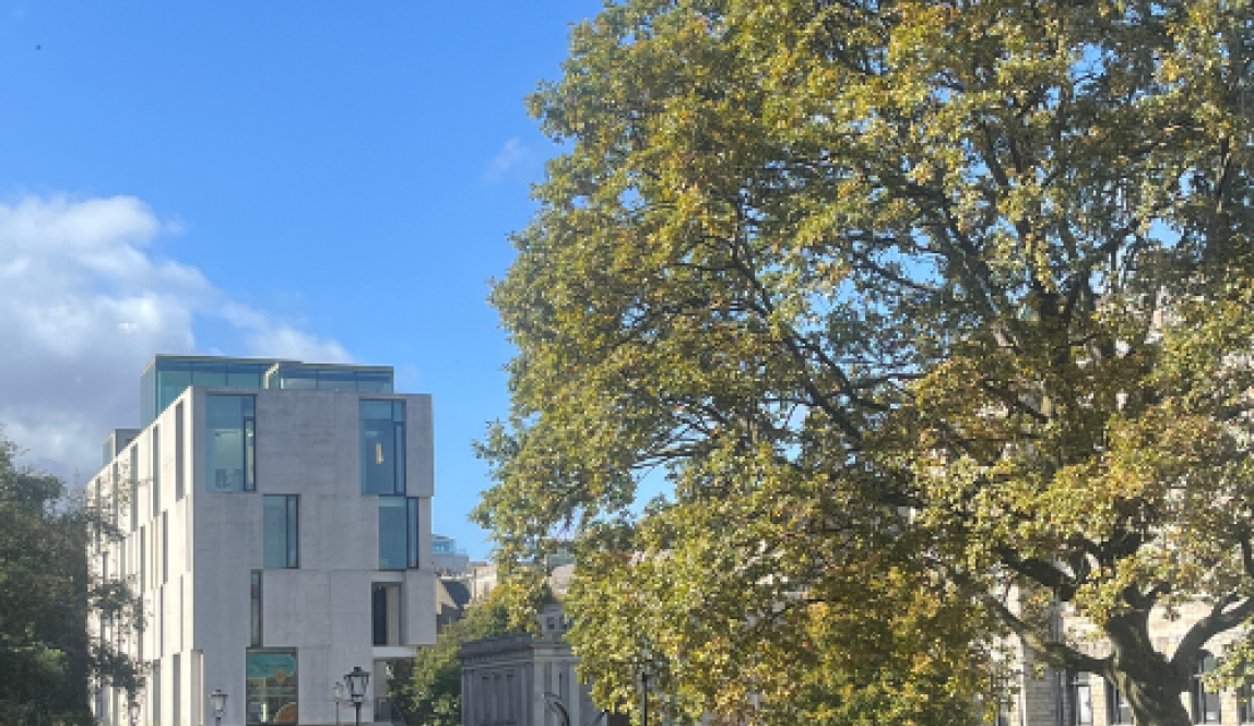 In front of the art building and the library, many students gather here to enjoy their time between classes 