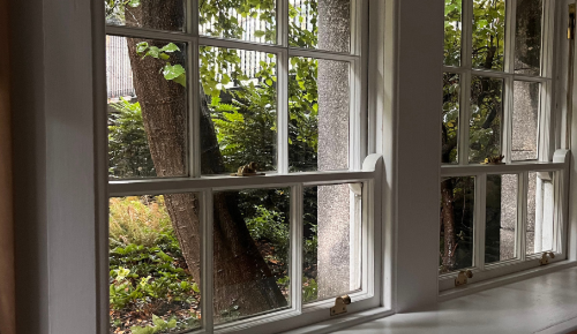 Window looking out into some foliage