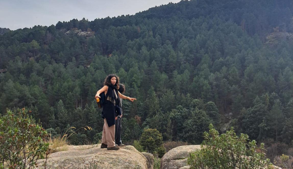 Person standing on rock overlooking forest