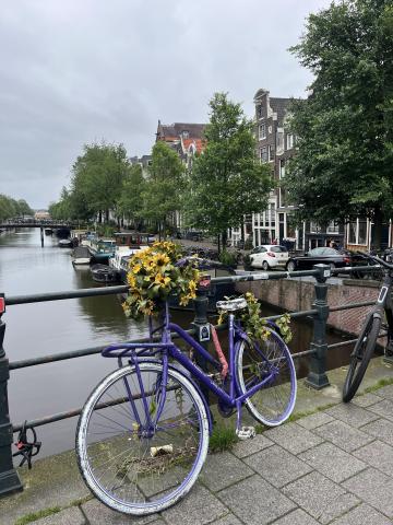 there is a purple bike with a basket of sunflowers that is leaning against a gate; the canals and buildings are visible in the background