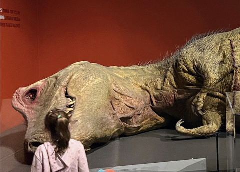 The head of a large life-size model of a T-Rex is displayed.