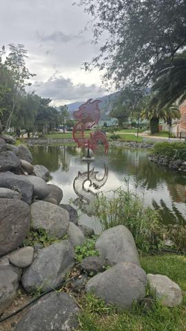 A small pond framed by rocks and plants. A red dragon statue stands in the center of the pond.
