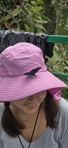 A blue butterfly sitting on top of a pink sun hat